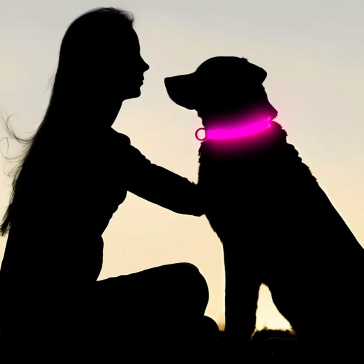 Collier lumineux pour chien - Colliers pour sécurité nocturne