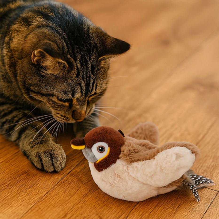 Jouet Interactif de Chasse pour Chats