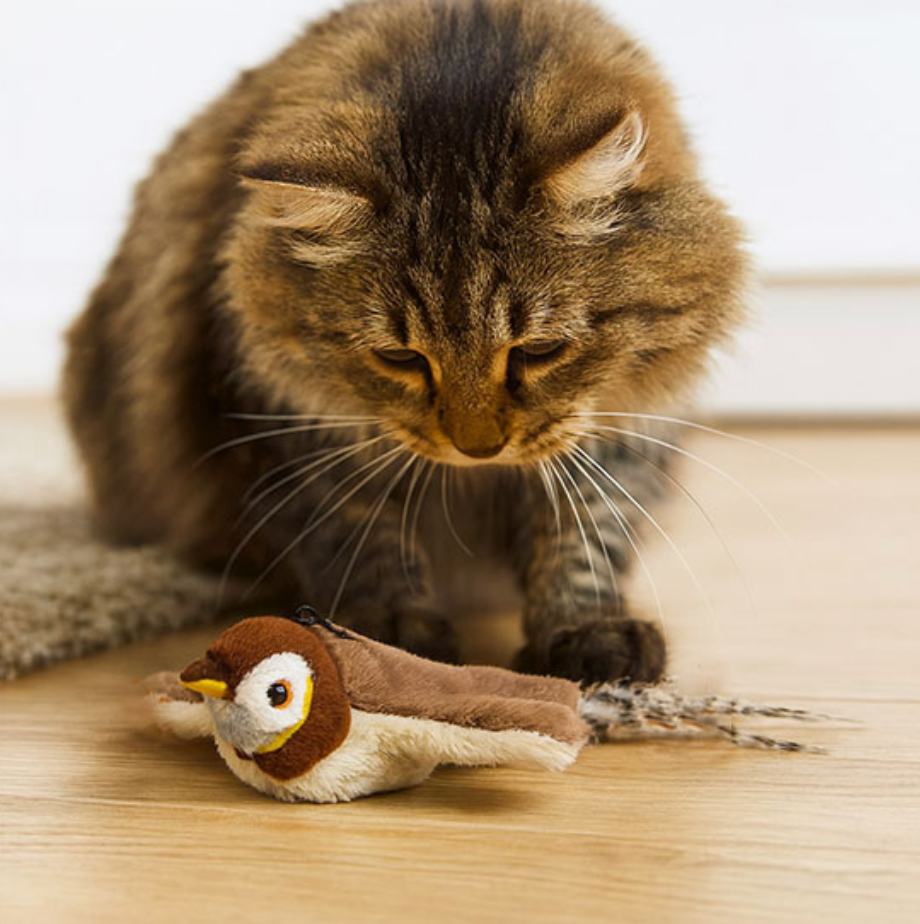 Jouet Interactif de Chasse pour Chats