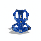 Harnais pour chien - harnais d’apprentissage