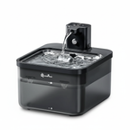 Fontaine à eau pour chat