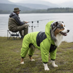 Imperméable pour chien
