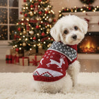 Pull de Noël pour petit chien