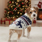 Pull de Noël pour petit chien