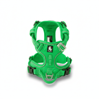 Harnais pour chien - harnais d’apprentissage