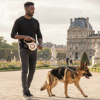 Laisse rétractable pour chien