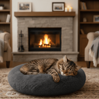 Cat cushion 