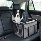Siège auto pour chien