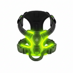 Dog harness - light-up harness 