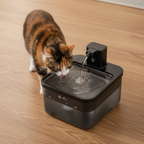 Fontaine à eau pour chat