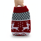 Pull de Noël pour petit chien