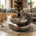 Griffoir interactif pour chat