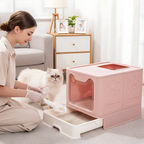 Bac à litière chat