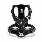 Harnais pour chien - harnais d’apprentissage