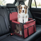 Siège auto pour chien