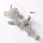 Jouet à Couinement pour Chien - Jouet sensoriel