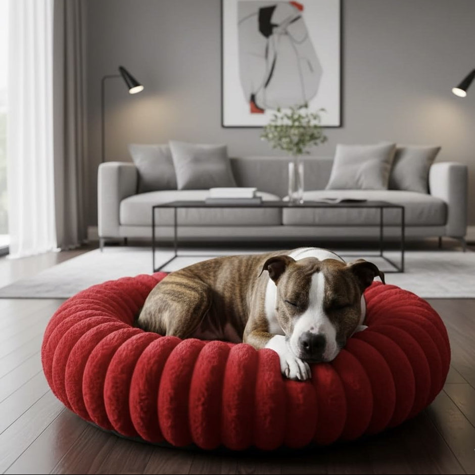 Coussin pour chien