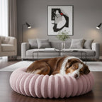 Coussin pour chien