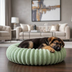 Coussin pour chien