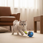 Jouet interactif pour chats - Balle interactive