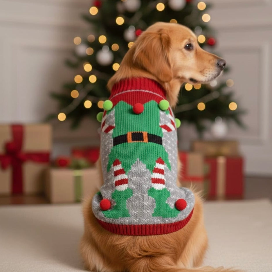 Pull de Noël pour grand chien