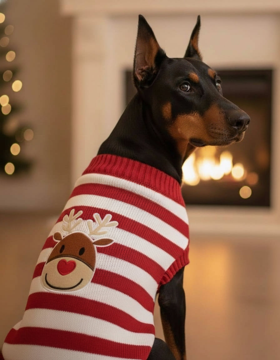 Pull de Noël pour grand chien