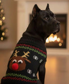 Pull de Noël pour grand chien