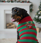 Pull de Noël pour grand chien