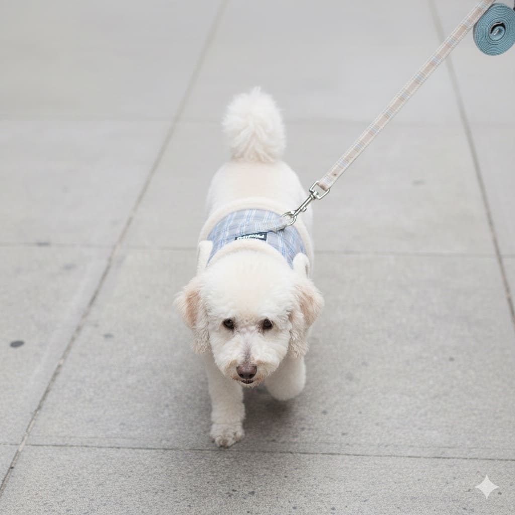 Harnais rembourré pour petit chien