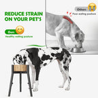 Support de gamelle réglable