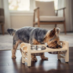 Gamelle pour chien et chat - Gamelle inclinée