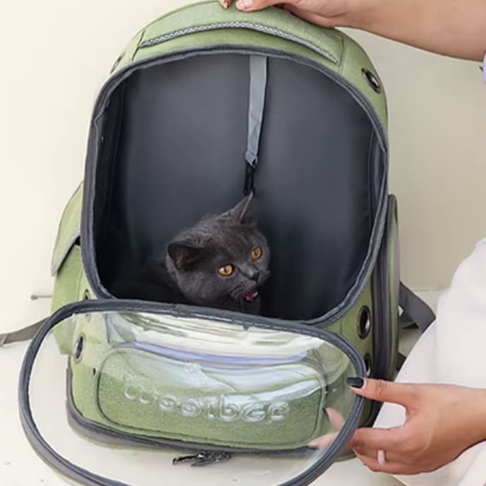 Sac à dos de transport pour petits animaux