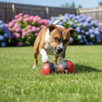 Balle distributeur friandises - Jouet distributeur de friandises
