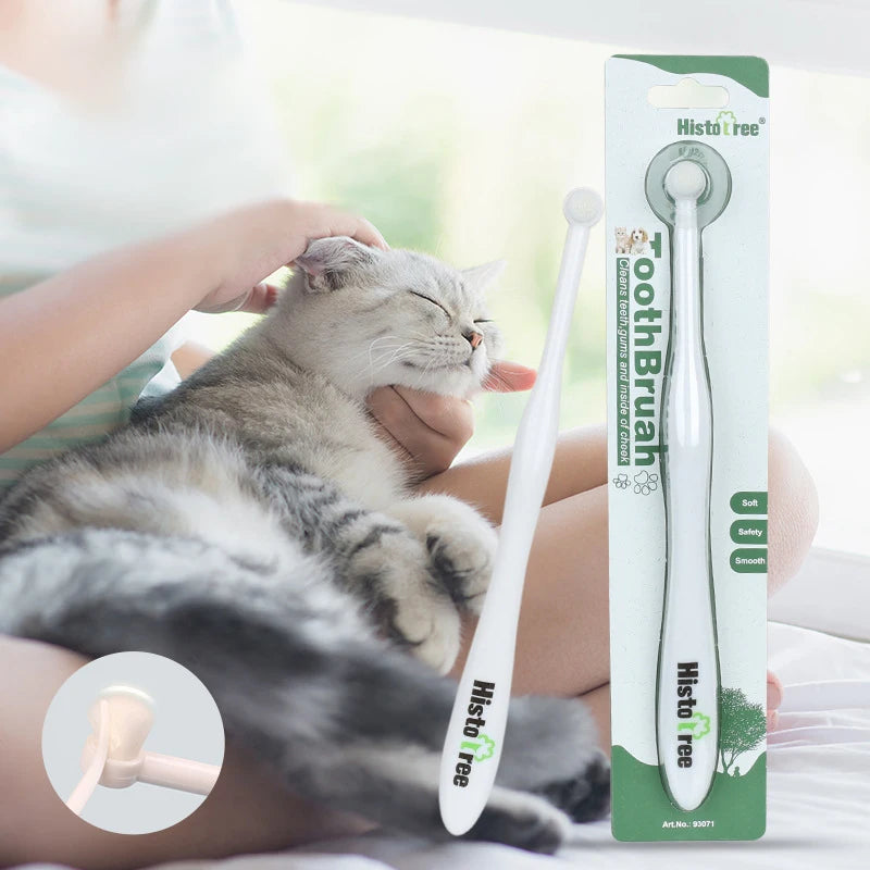 Brosse à dents chien et chat