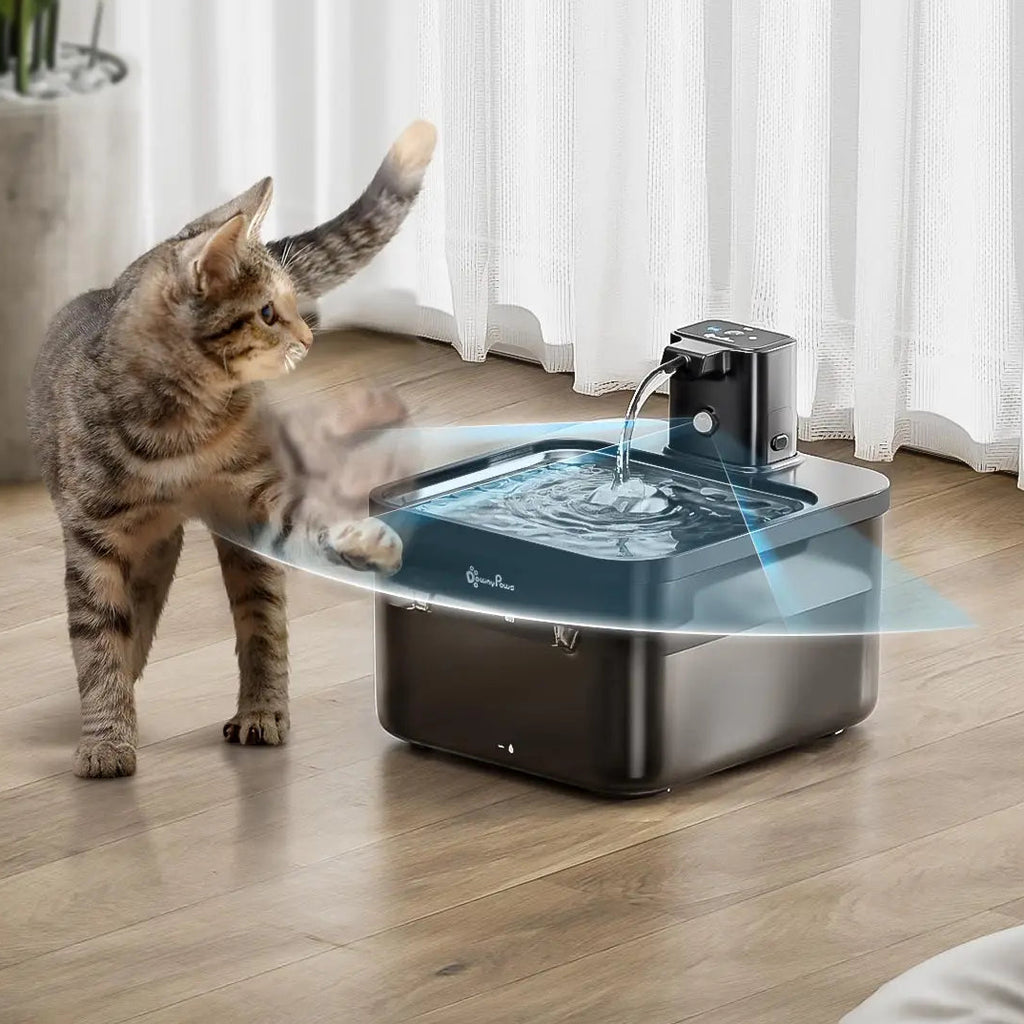 Fontaine à eau pour chat