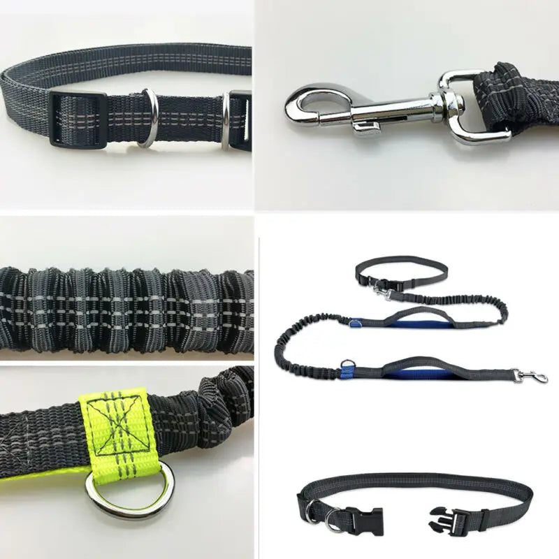 Canicross leash