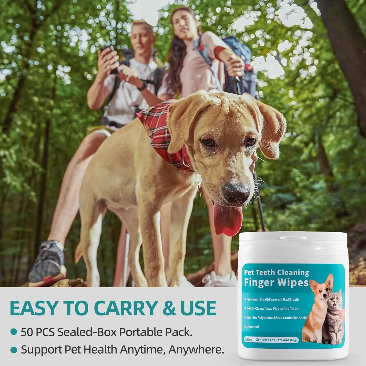 Lingettes dentaire pour chiens