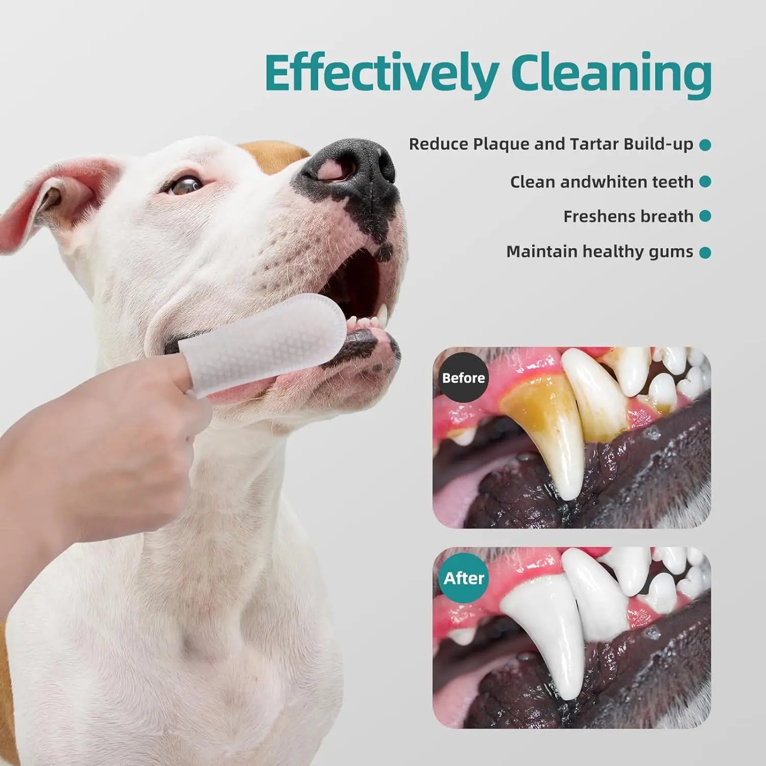 Dental wipes for dogs