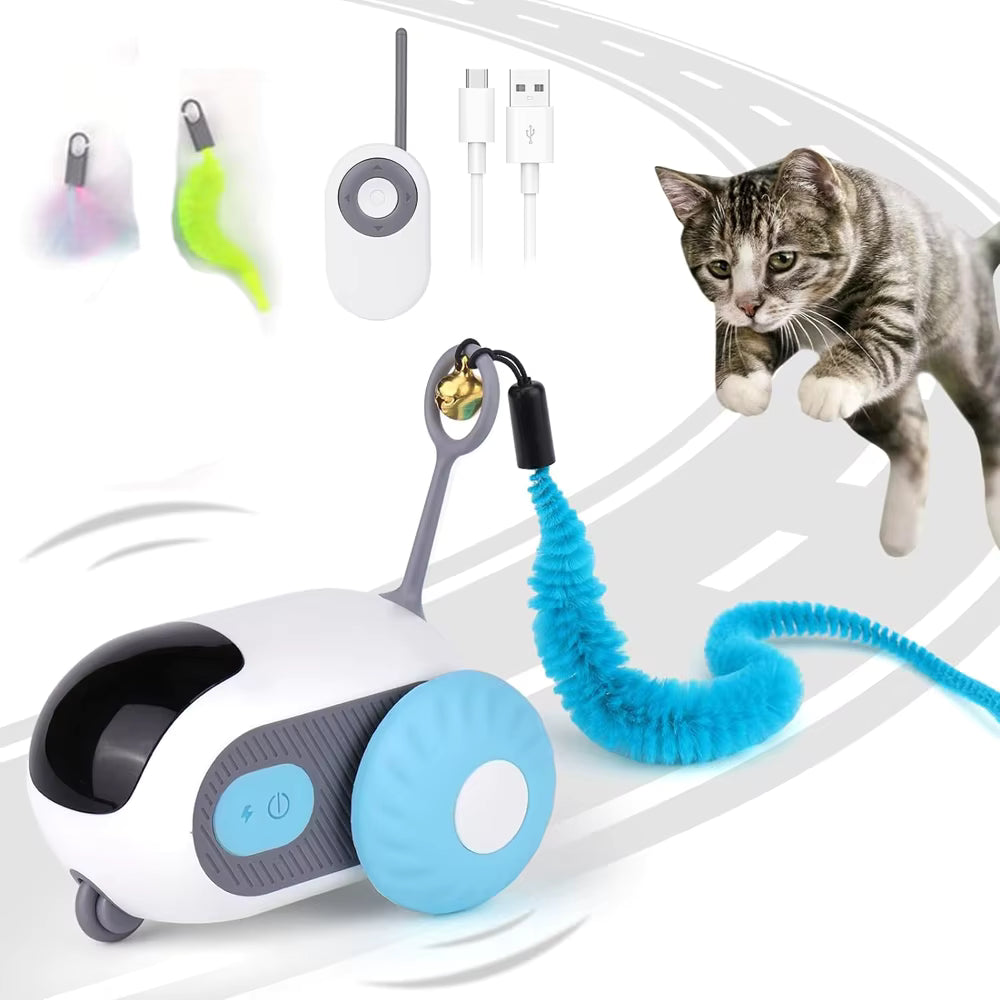 Jouet Interactif pour chat