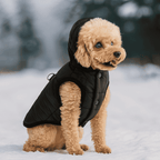 Manteau pour chien - petit chien