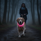 Collier lumineux pour chien - Colliers pour sécurité nocturne